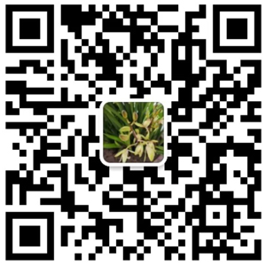 拓維網(wǎng)絡(luò)微信服務(wù)號(hào)